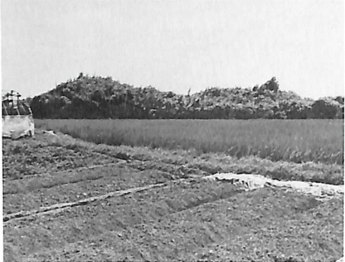 東北より(奈良県教育委員会『大和の野神行事(下)